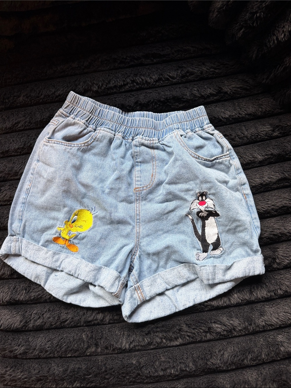 Light Blue Denim Women's Shorts with Tweety & Sylvester Embroidery